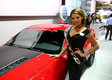 Девушки SEMA-2013