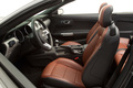 Ford Mustang 2015