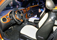 Volkswagen Beetle Dune