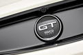 Ford Mustang 50 Year Limited Edition