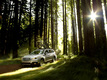 Subaru Outback 2015