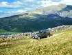 Land Rover Discovery 2015