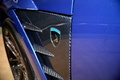 Topcar Ursa
