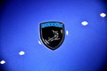 Topcar Ursa