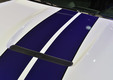 Ford Mustang Shelby GT350