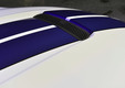 Ford Mustang Shelby GT350