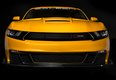Saleen S302 Black Label Mustang