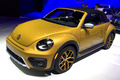 Volkswagen Beetle Dune