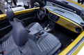 Volkswagen Beetle Dune