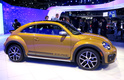 Volkswagen Beetle Dune