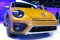 Volkswagen Beetle Dune