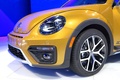 Volkswagen Beetle Dune