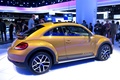 Volkswagen Beetle Dune