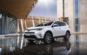 6. <strong>Toyota RAV4</strong> (поколение 4) – 96,52%<p>Компактный кроссовер Toyota RAV4 текущего поколения «ухнул» сразу на 10 позиций в общем списке, но в рейтинге надежности кроссоверов у модели все в порядке.