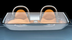 Bristol Bullet