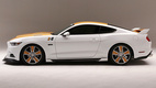 Ford Mustang Hurst Kenne Bell R-Code