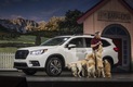 Внедорожник Subaru Ascent 2019 модельного года