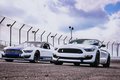 Версия Ford Mustang для участия в гонках NASCAR