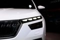 Новейший кроссовер Skoda Kamiq на автосалоне в Женеве
